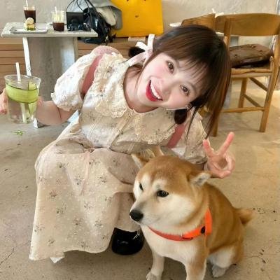 小熊的夏天